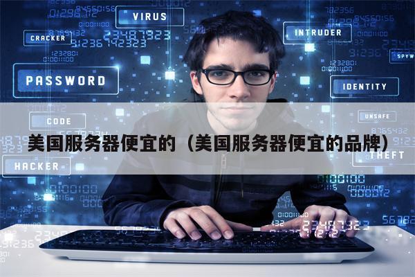 美国服务器便宜的（美国服务器便宜的品牌）