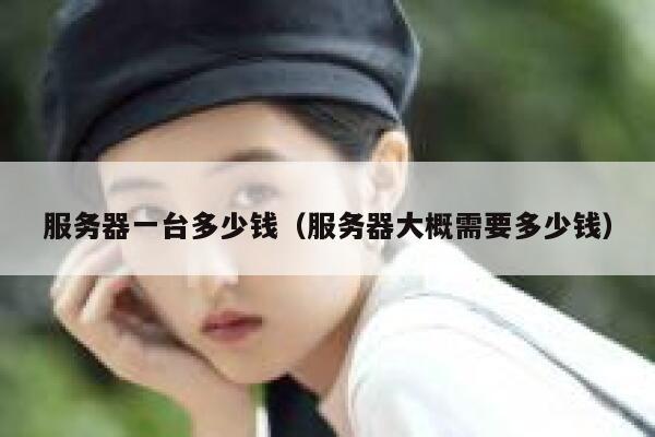 服务器一台多少钱（服务器大概需要多少钱）