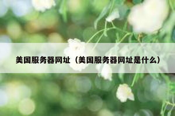 美国服务器网址（美国服务器网址是什么）