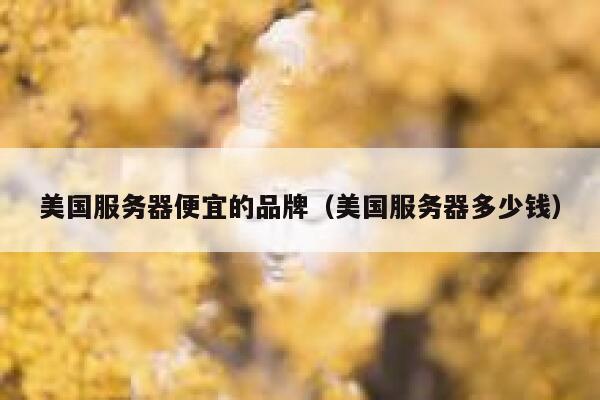 美国服务器便宜的品牌（美国服务器多少钱）
