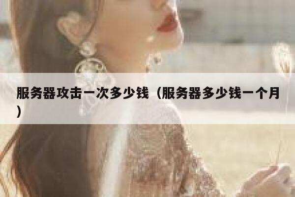 服务器攻击一次多少钱（服务器多少钱一个月）