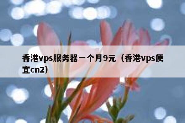 香港vps服务器一个月9元（香港vps便宜cn2）