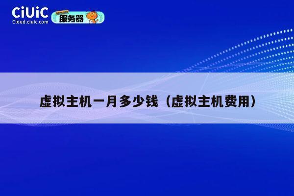 虚拟主机一月多少钱（虚拟主机费用）