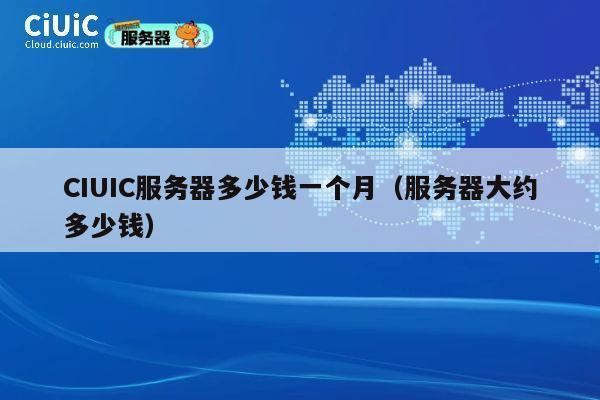 CIUIC服务器多少钱一个月（服务器大约多少钱）