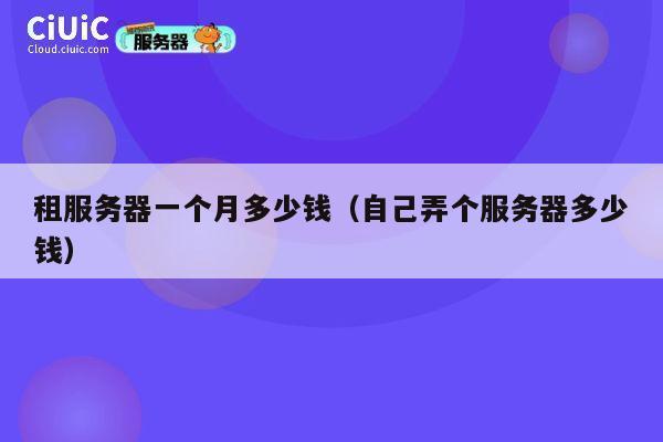 租服务器一个月多少钱（自己弄个服务器多少钱）