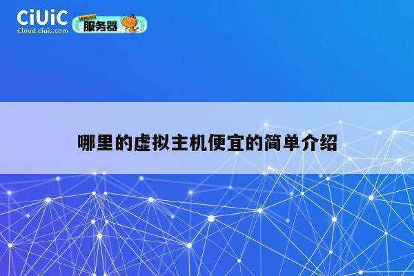 哪里的虚拟主机便宜的简单介绍